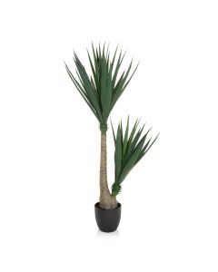 YUCCA - Tekokasvi 