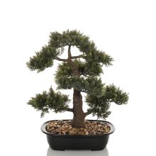 BONSAI - Tekokasvi 