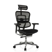 ERGOHUMAN GEN2 | Verkkokangas / kangas - Luksustoimistotuoli